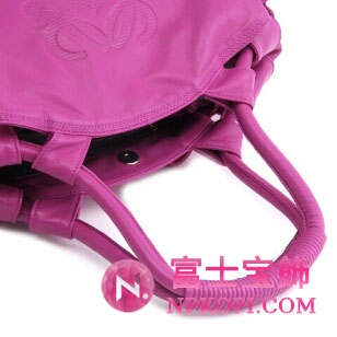 ロエベ　ショルダーバッグ　ナッパ　アイレ　ＮＡＰＰＡ　ＡＩＲＥ LOEWE 309 82 102-7170